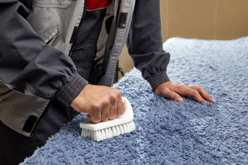 carpet cleaning service by fabriclean